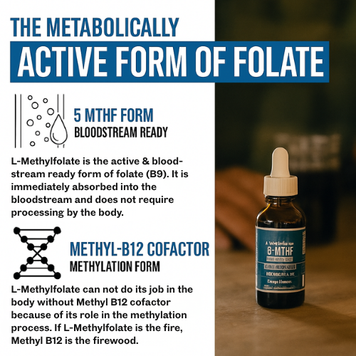 ActiveFolate - Anxiety Drops