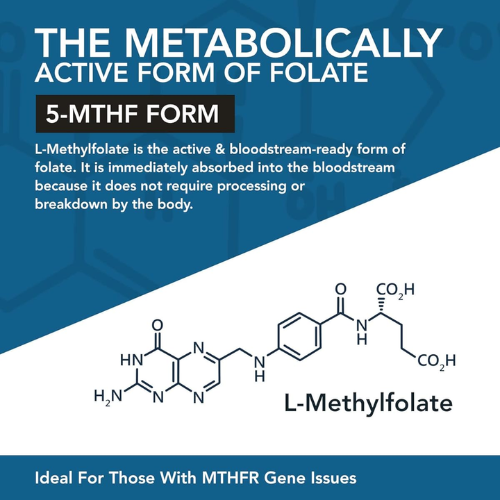 ActiveFolate Neurosip