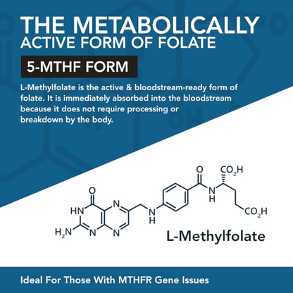ActiveFolate Neurosip